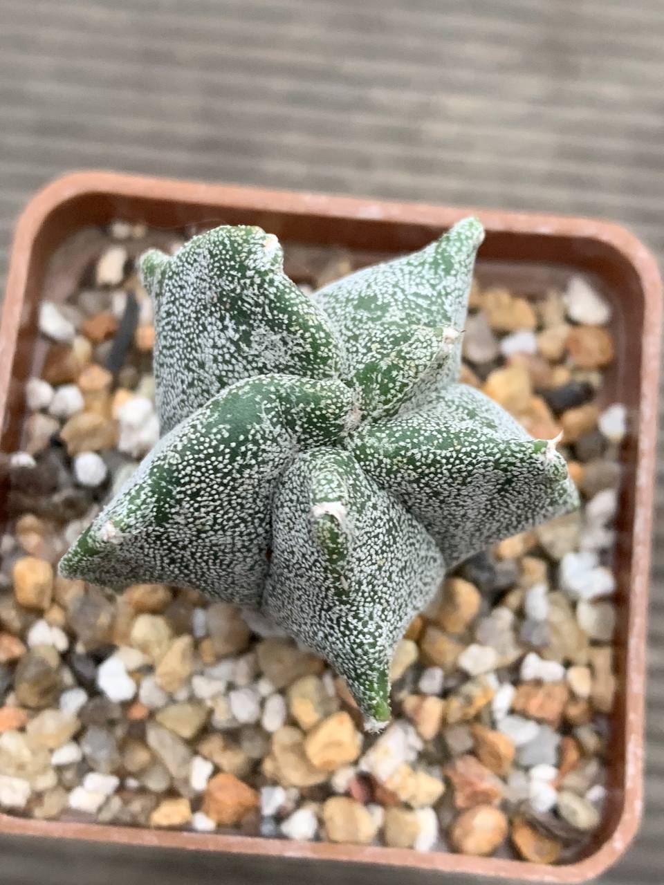 photo_8_2025-12-17_17-03-28 photo_8_2025-12-17_17-03-28