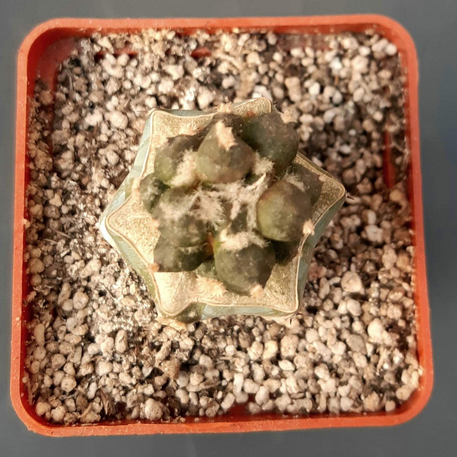 0-02-05-0327c7ab0532d36f4bccb2858b19401f803a061278a126023709b3ff2e583704_ff0b3df0054c97ed