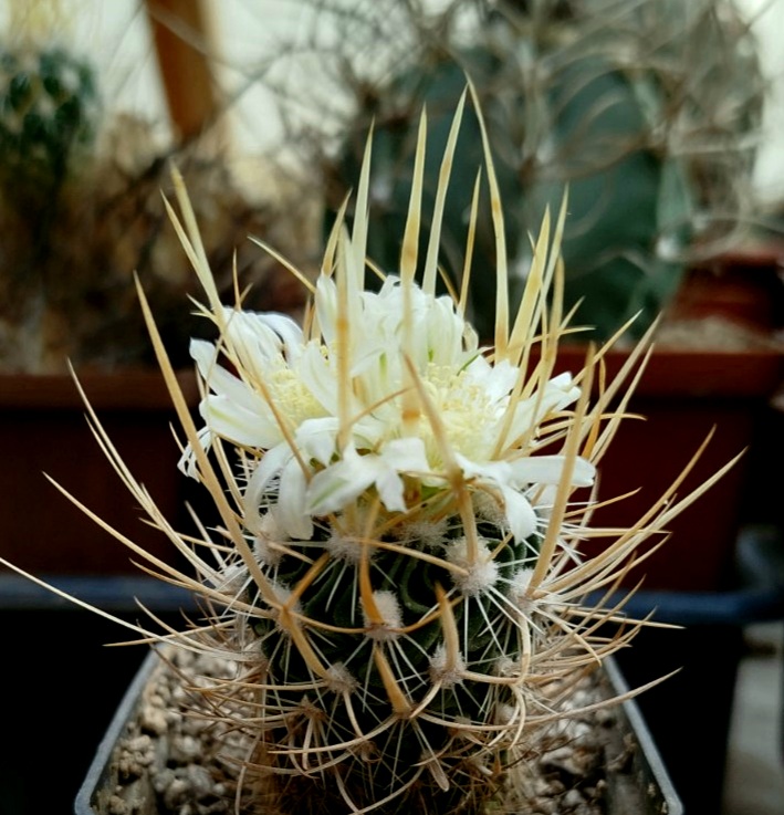 0-02-05-13885f86f6b168a495ec815f903500887d26ad7fc5b9d91bfbf9050fc10ae5d8_68c12fa1b2b66e1a