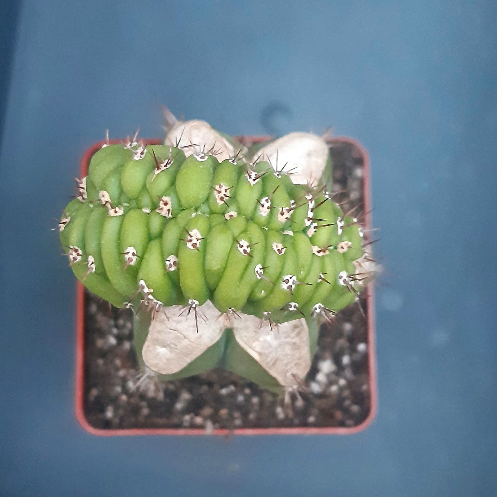 0-02-05-e6ced07273bbe3e35d304e04be00036696c87f305bf0bcf63df6edf4aa570b3f_d30939122927b97f