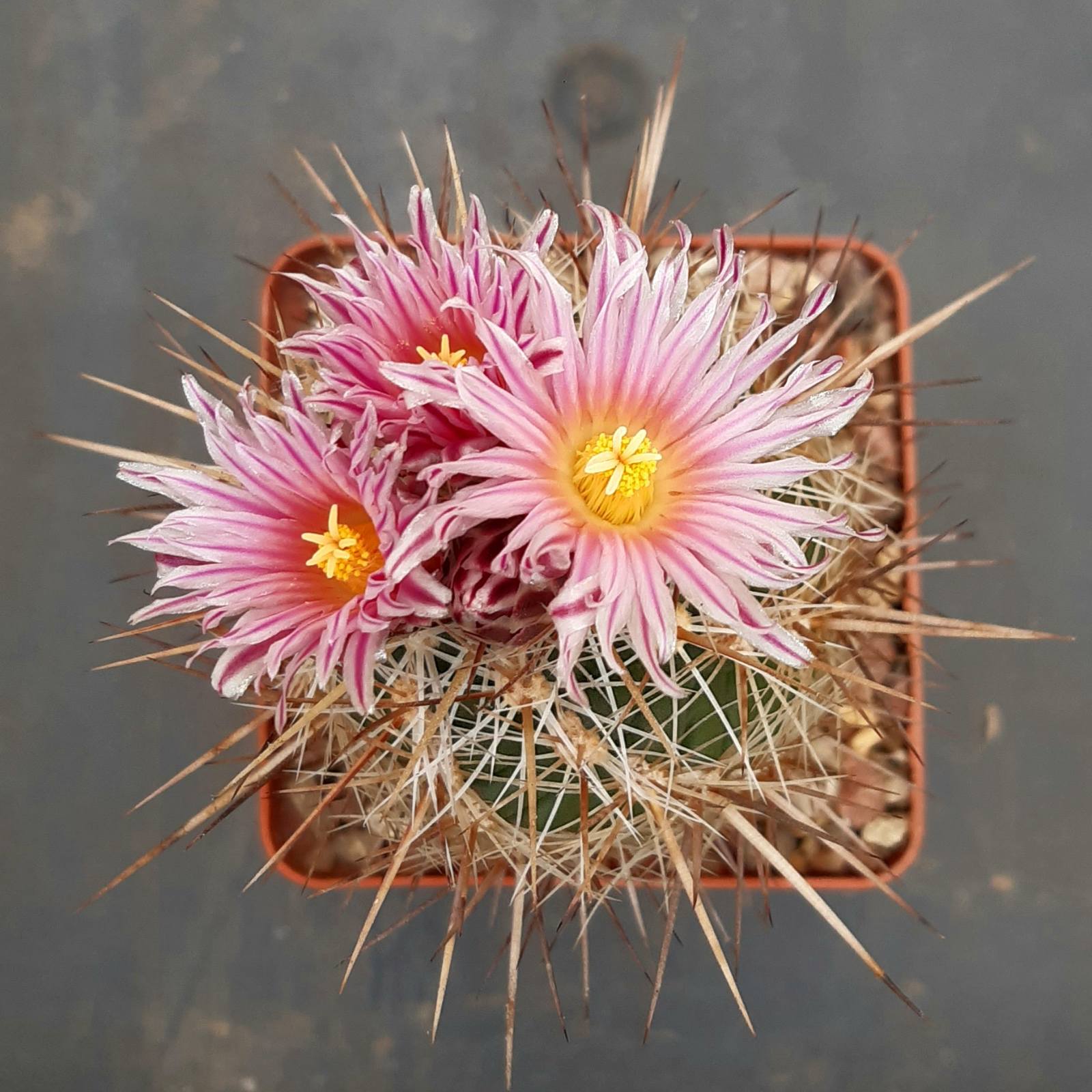 0-02-0a-eae1512542cd57b26f633d5d46a32bc2cbc984e85d75bbfa8331ab0d2220fa12_96bc8e7aa5b6c171