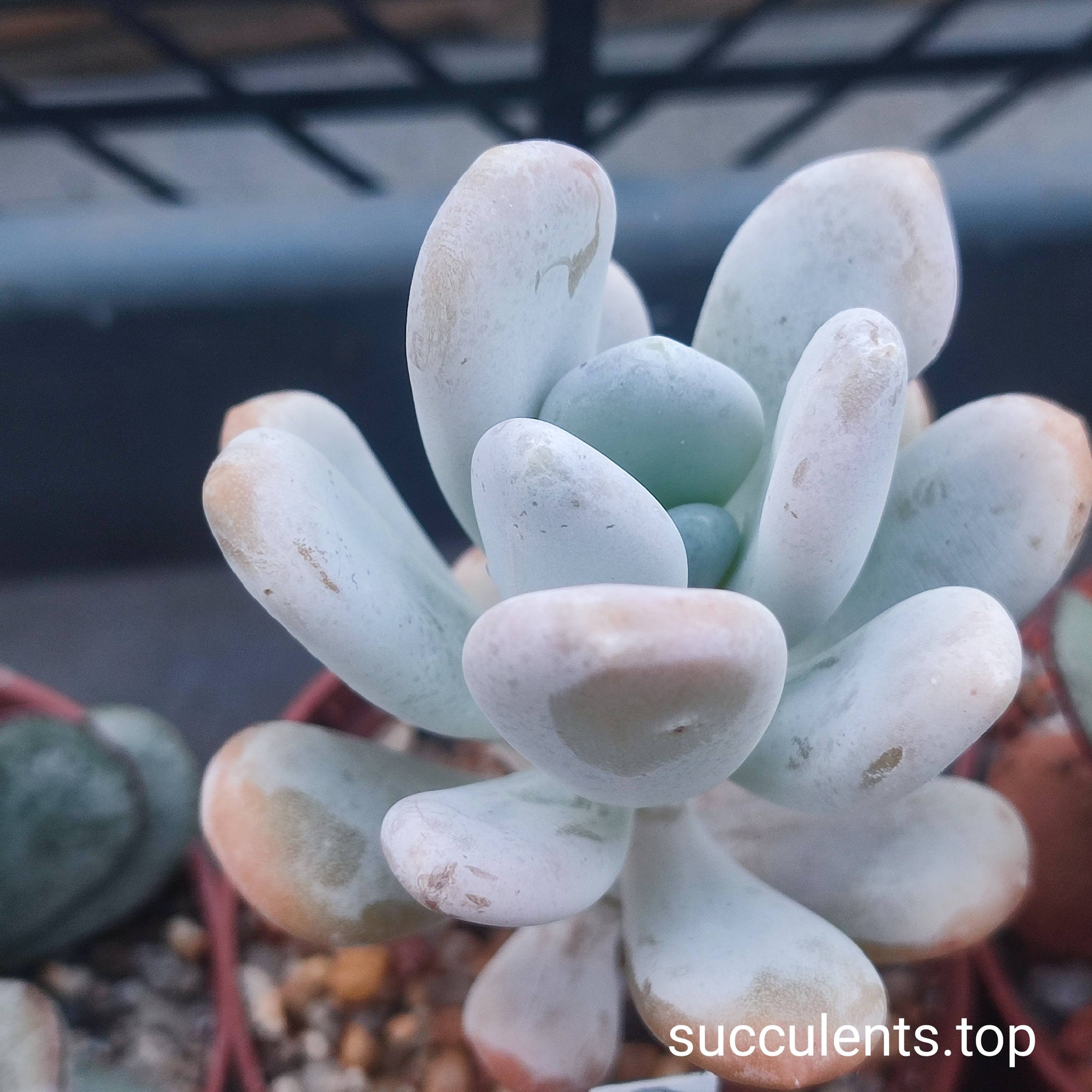 660509232_3502879739850562_4476734006288543055_n 660509232_3502879739850562_4476734006288543055_n