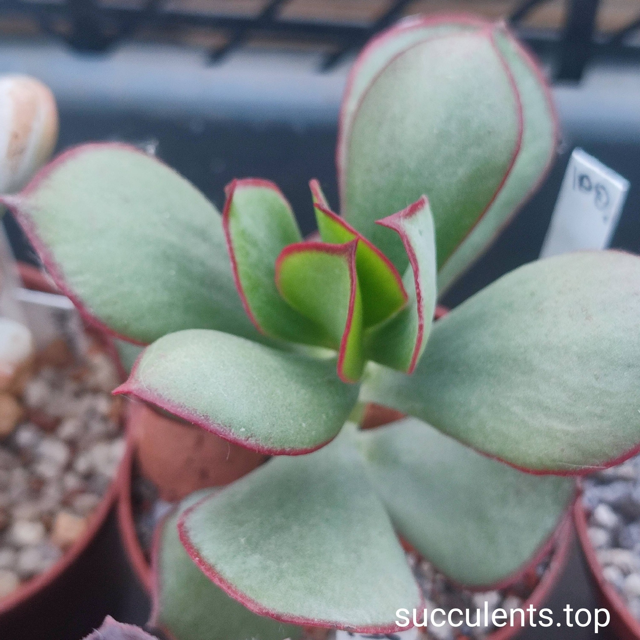 660560381_3502879983183871_662997006467756468_n 660560381_3502879983183871_662997006467756468_n