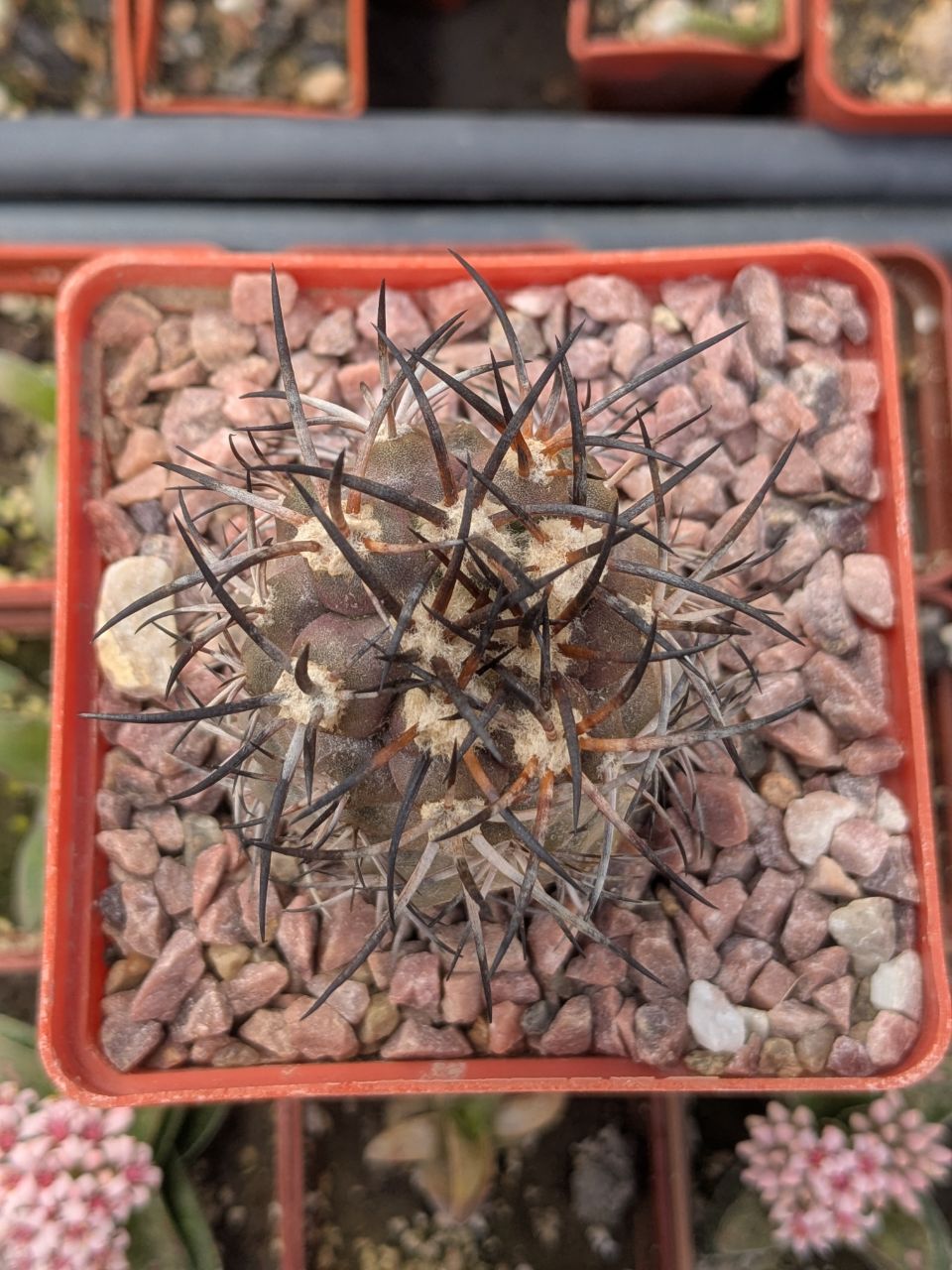 IMG_20260308_104815_266