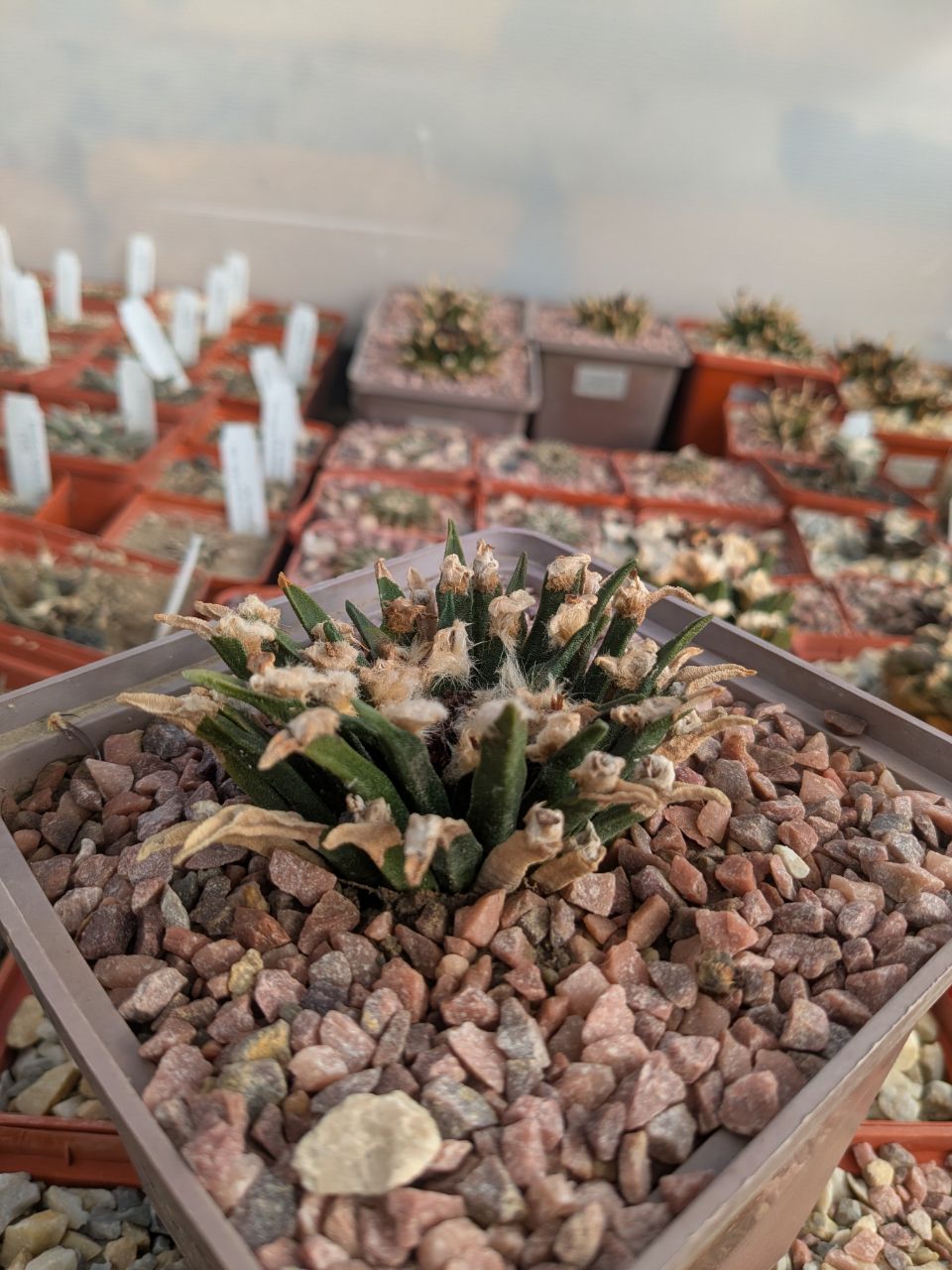 IMG_20260308_104815_350