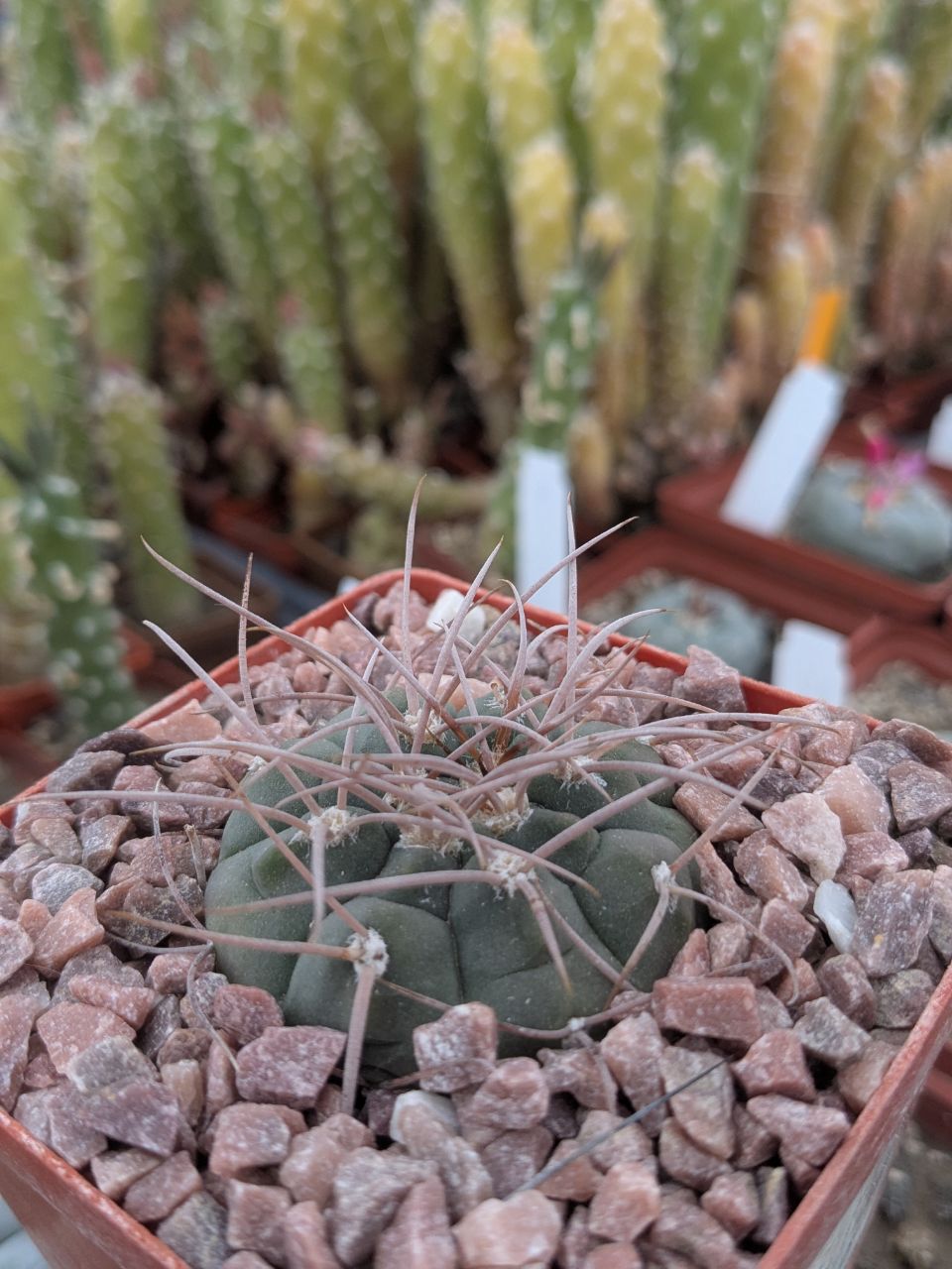 IMG_20260329_110149_310