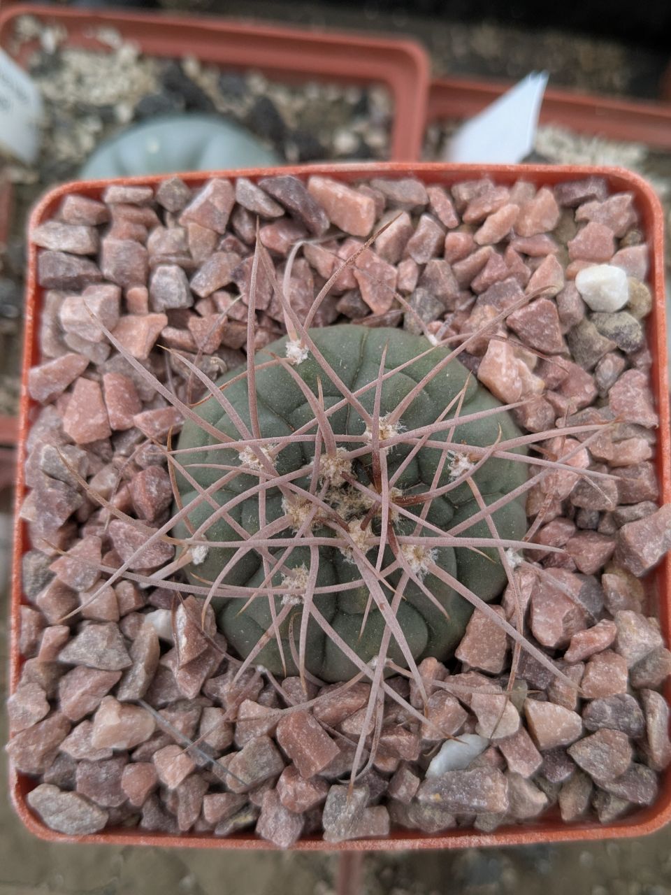 IMG_20260329_110149_760