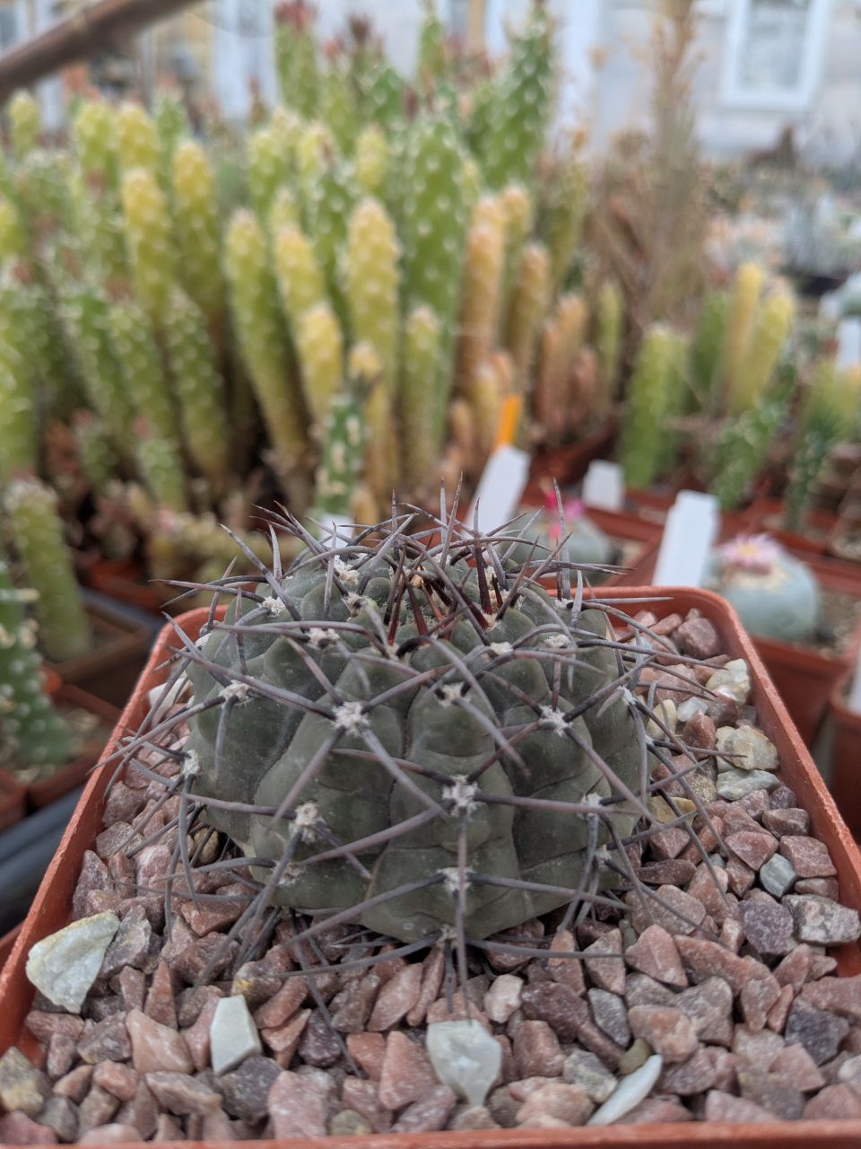 IMG_20260329_110152_783