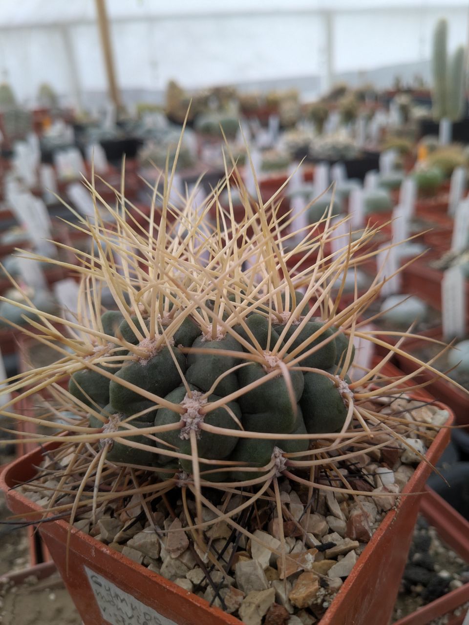 IMG_20260329_110152_877