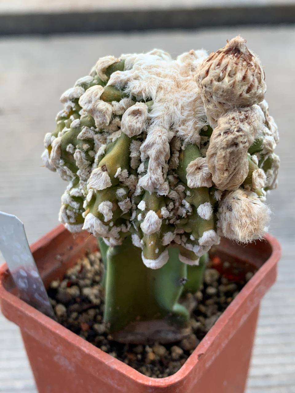 photo_100_2026-03-11_16-47-50