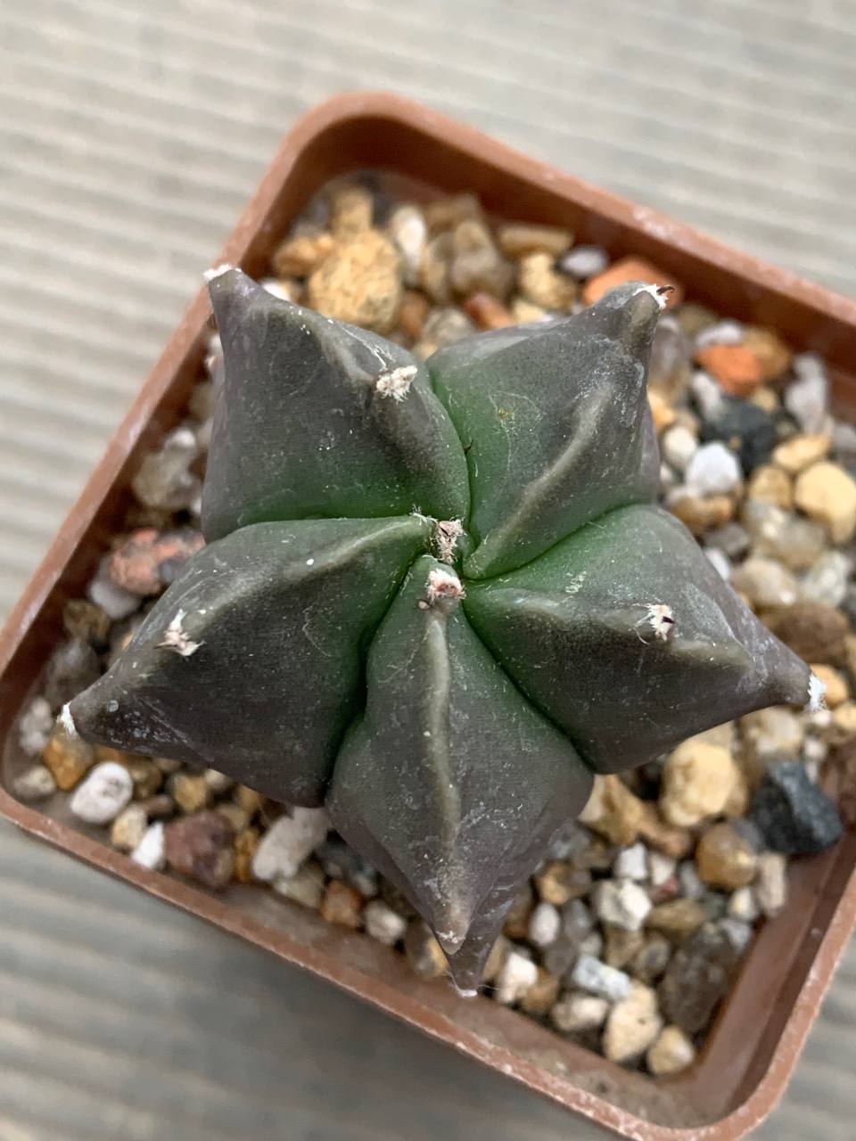 photo_15_2026-03-18_18-26-28