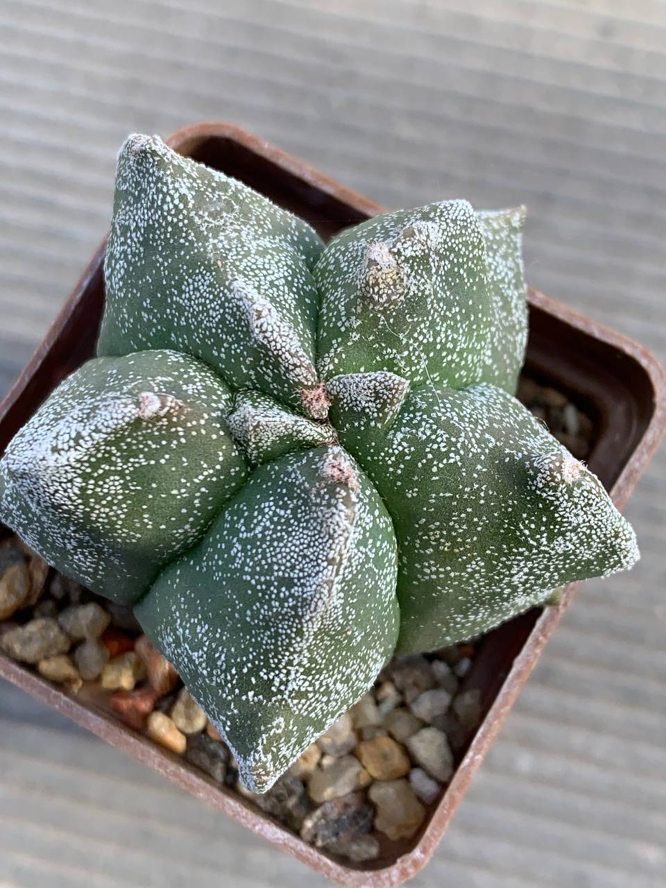 photo_16_2026-03-11_16-47-50