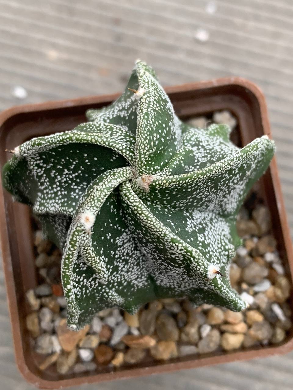 photo_20_2026-03-18_18-26-28