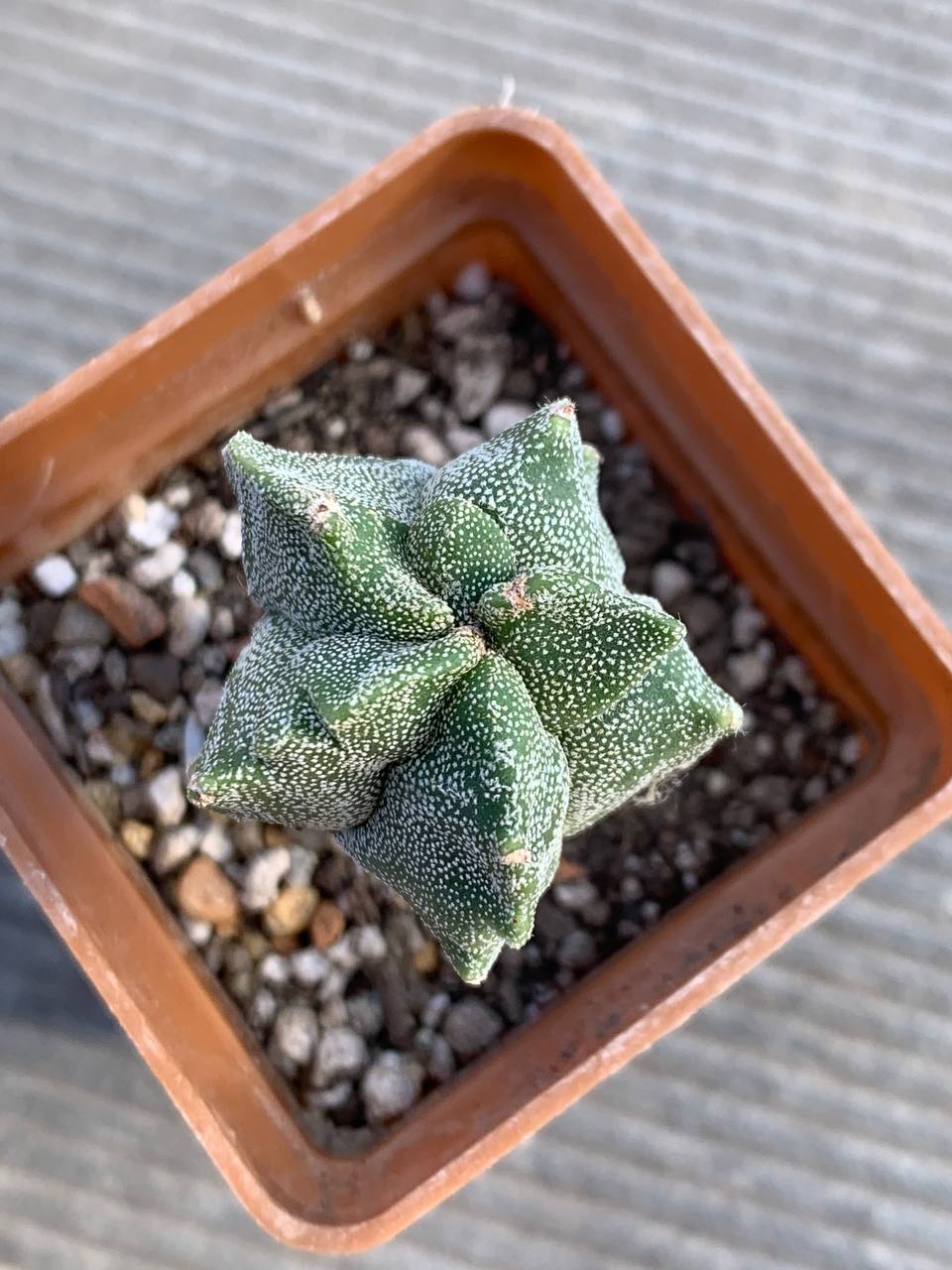 photo_21_2026-03-04_17-37-04