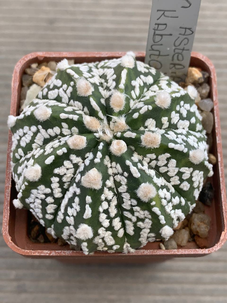 photo_21_2026-03-25_17-02-12 photo_21_2026-03-25_17-02-12