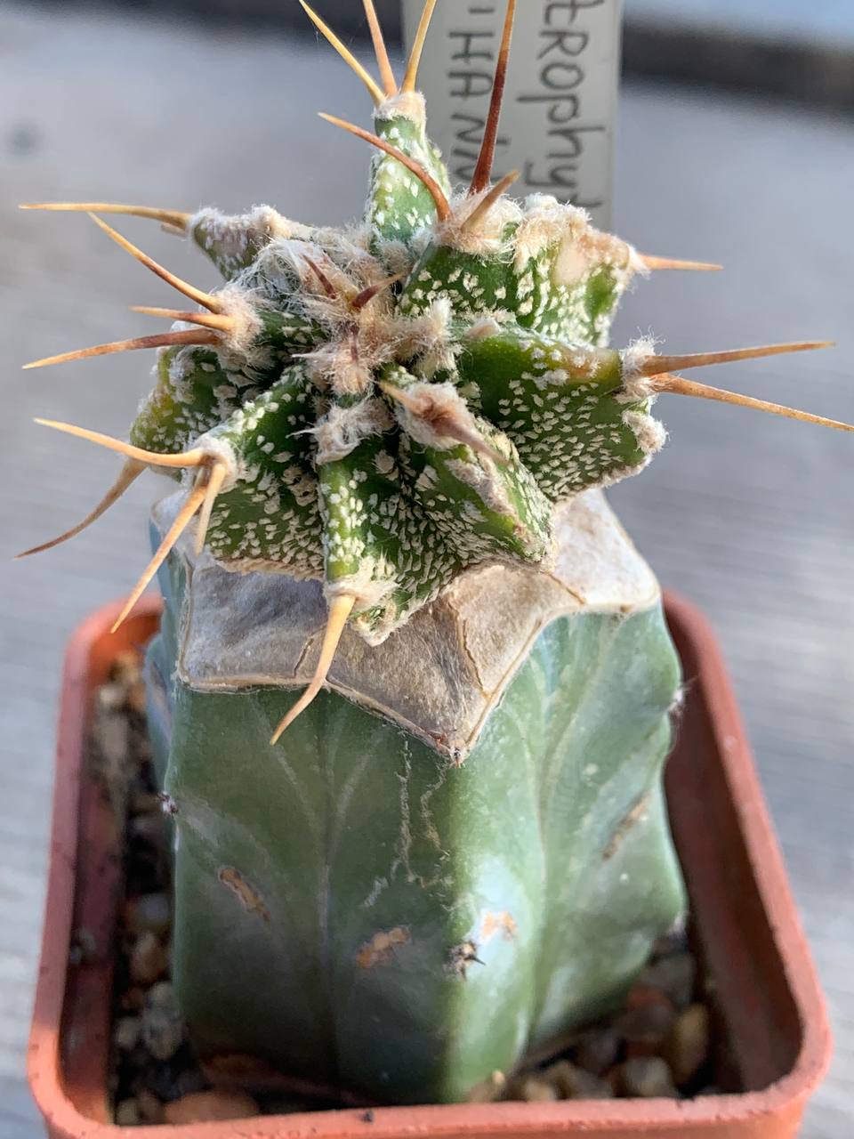 photo_32_2026-03-04_17-37-04