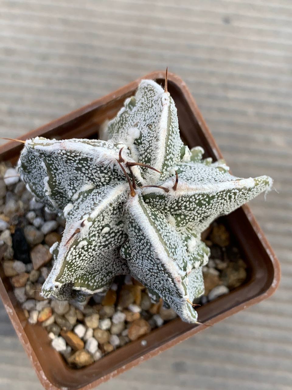 photo_35_2026-03-11_16-47-50