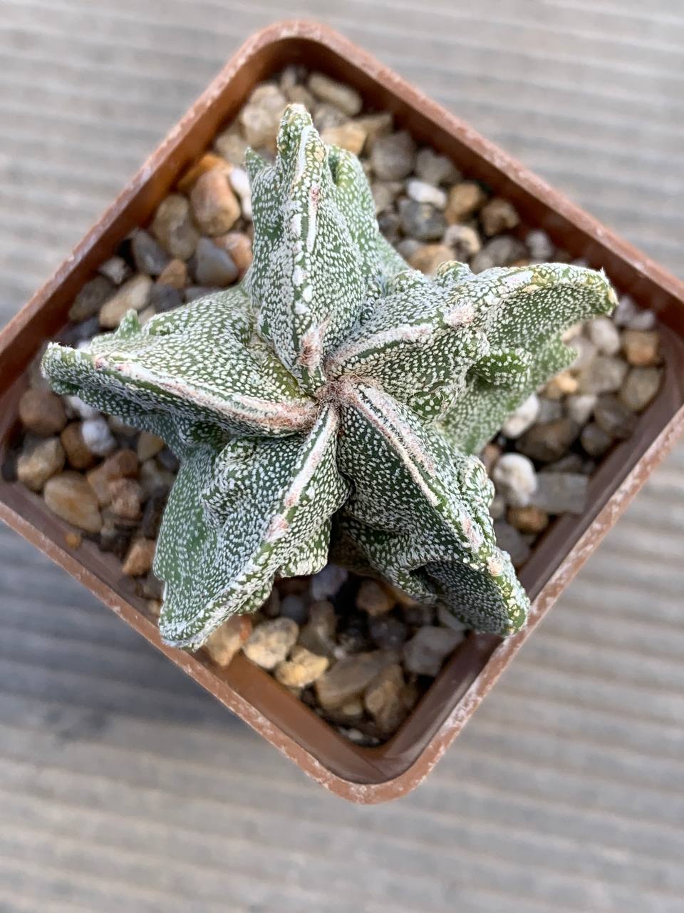 photo_38_2026-03-11_16-47-50