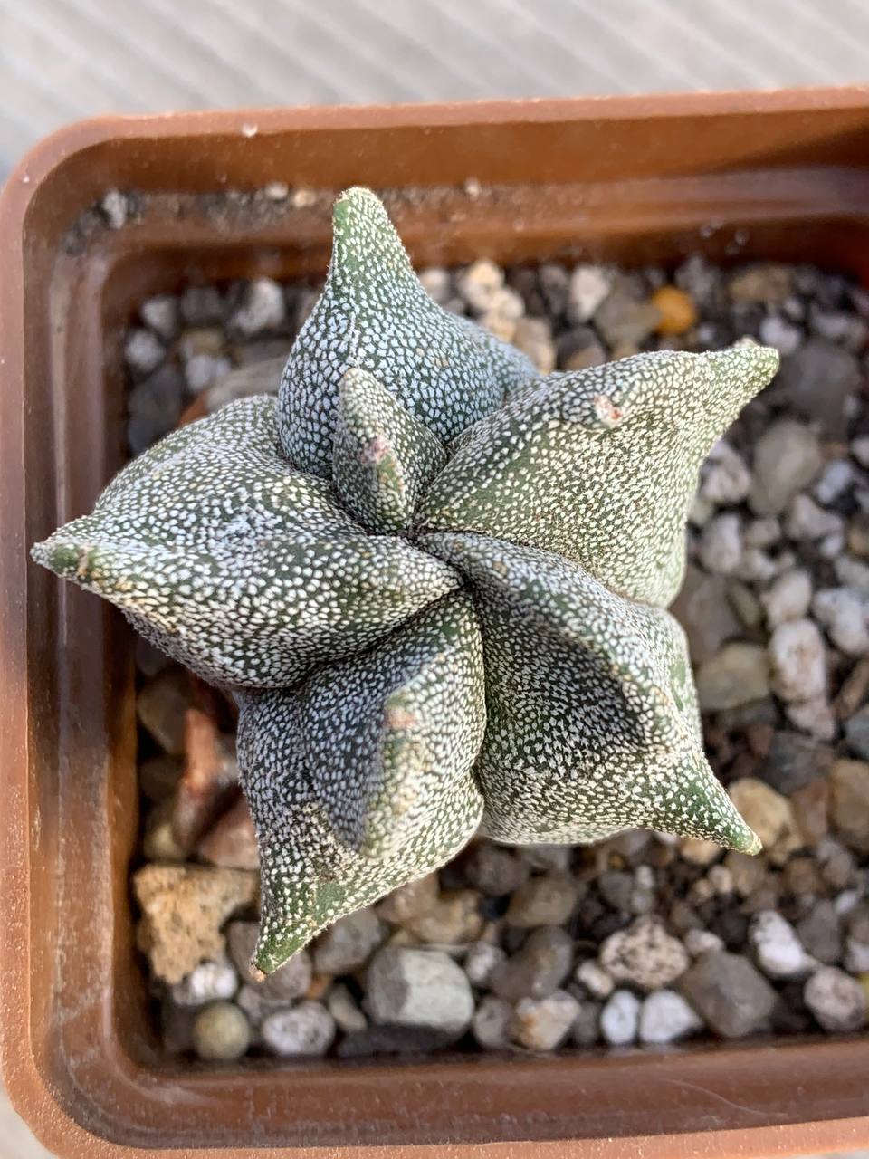 photo_3_2026-03-04_17-37-04