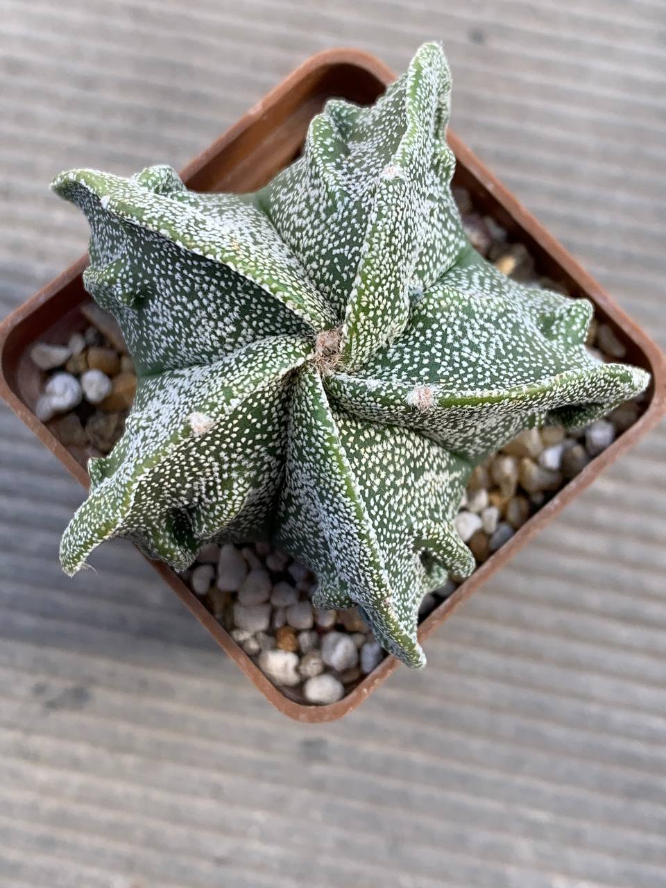 photo_41_2026-03-11_16-47-50