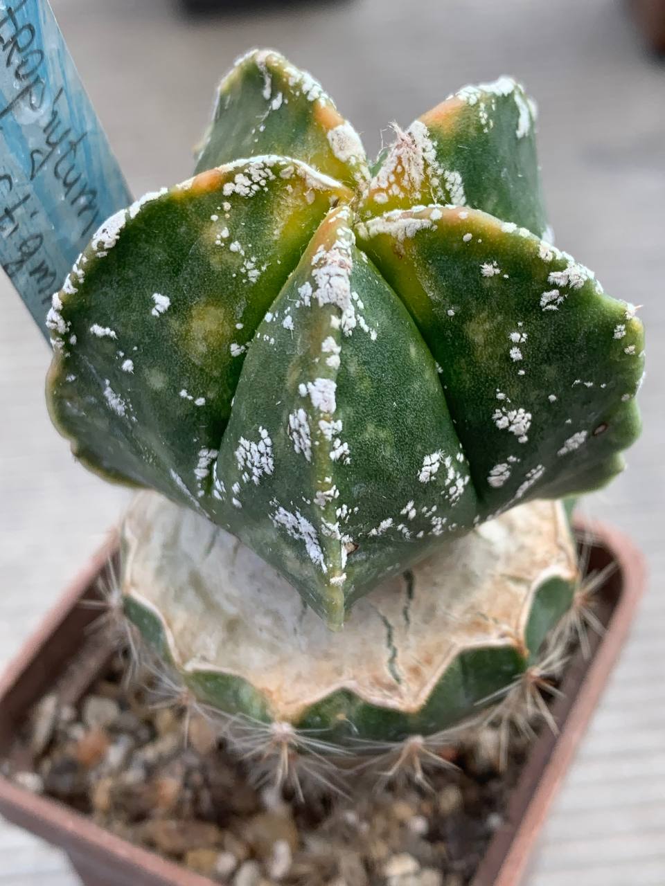 photo_41_2026-03-25_17-02-12 photo_41_2026-03-25_17-02-12