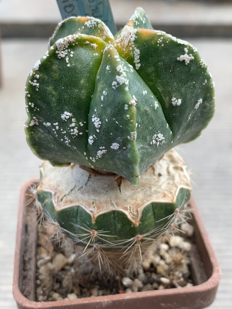 photo_42_2026-03-25_17-02-12 photo_42_2026-03-25_17-02-12