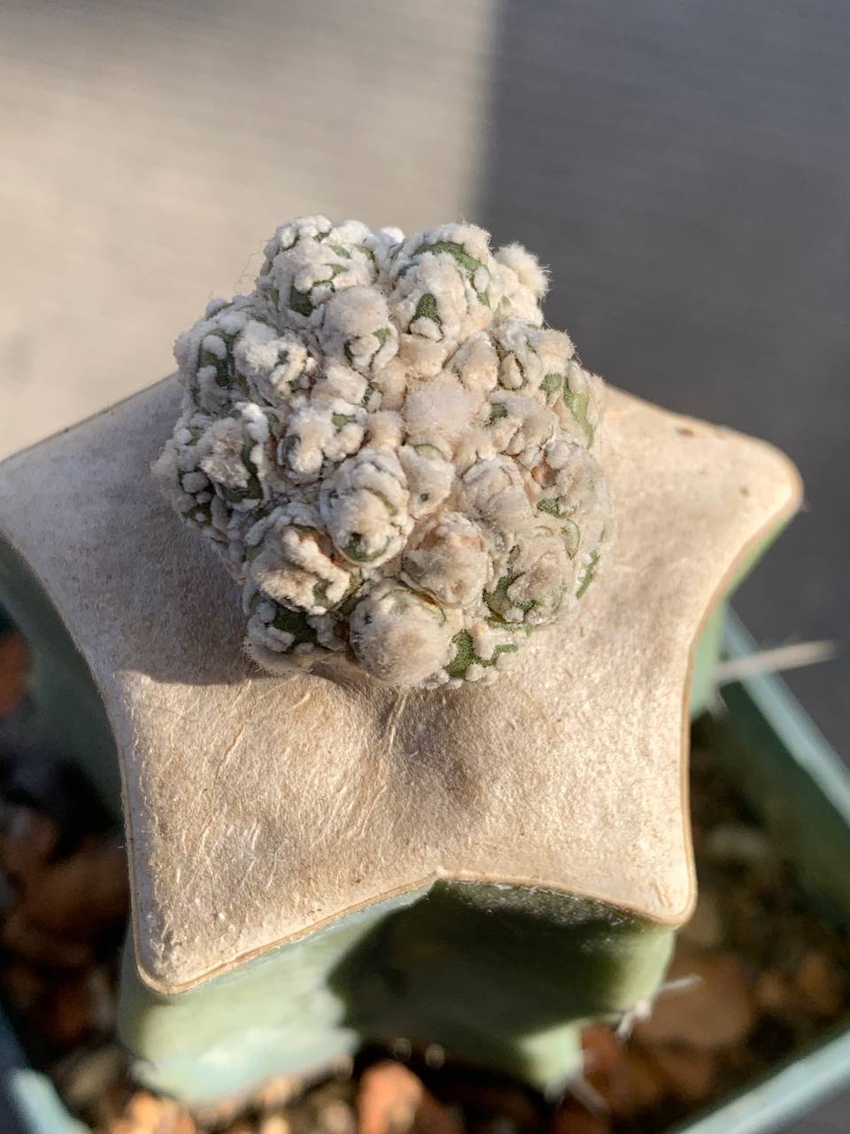 photo_45_2026-03-04_17-37-04