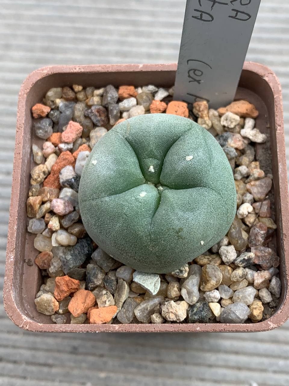 photo_46_2026-03-25_17-02-12 photo_46_2026-03-25_17-02-12