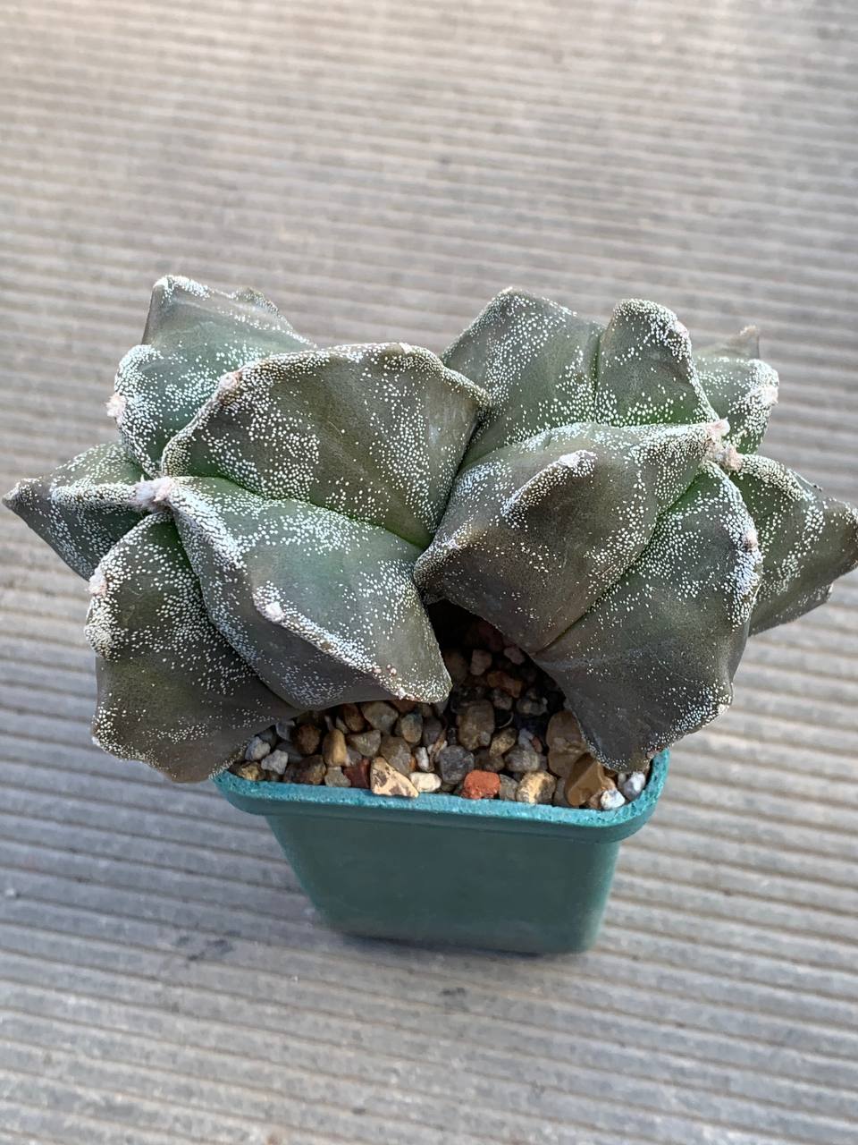 photo_56_2026-03-11_16-47-50