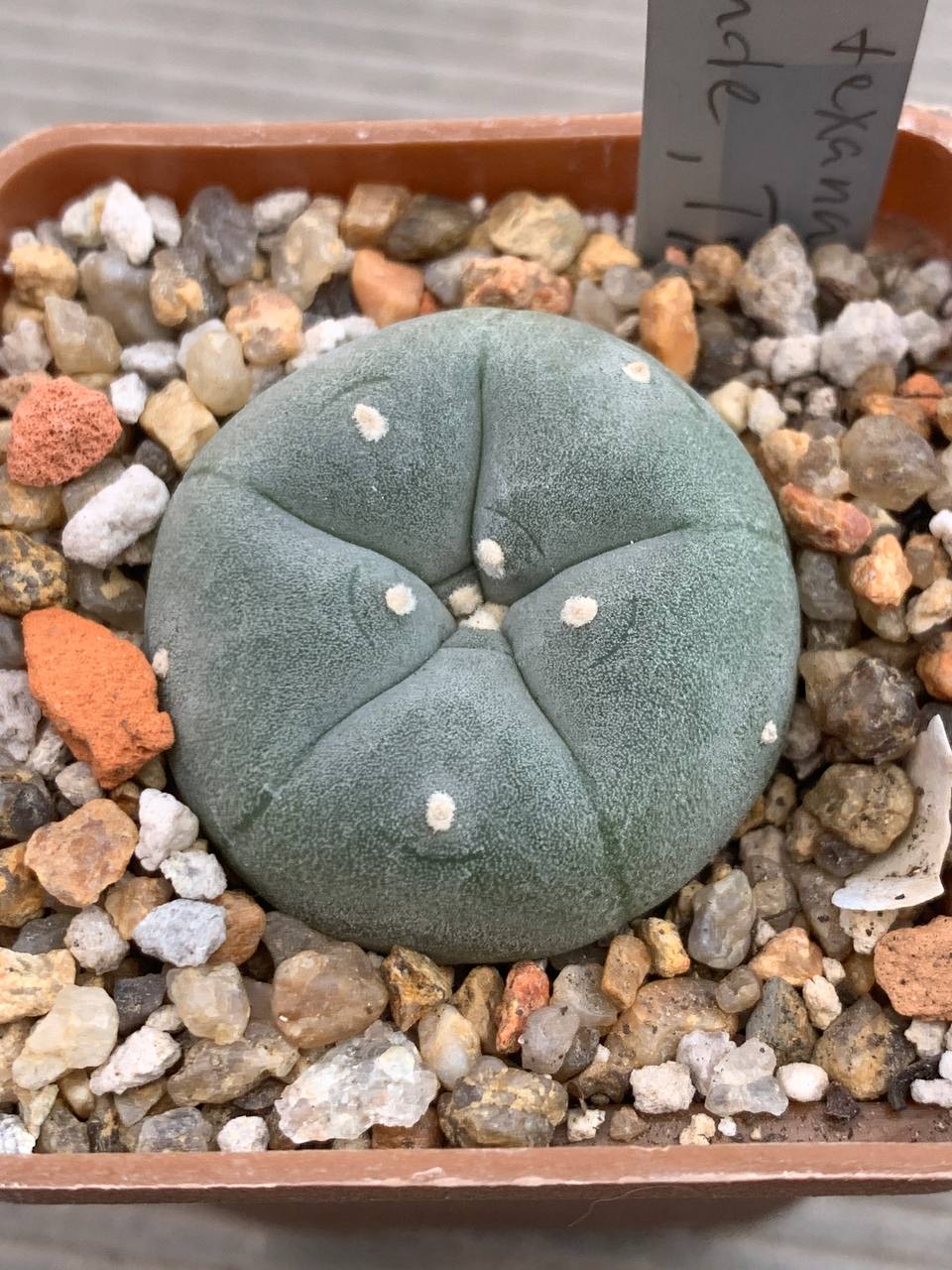 photo_61_2026-03-25_17-02-12 photo_61_2026-03-25_17-02-12