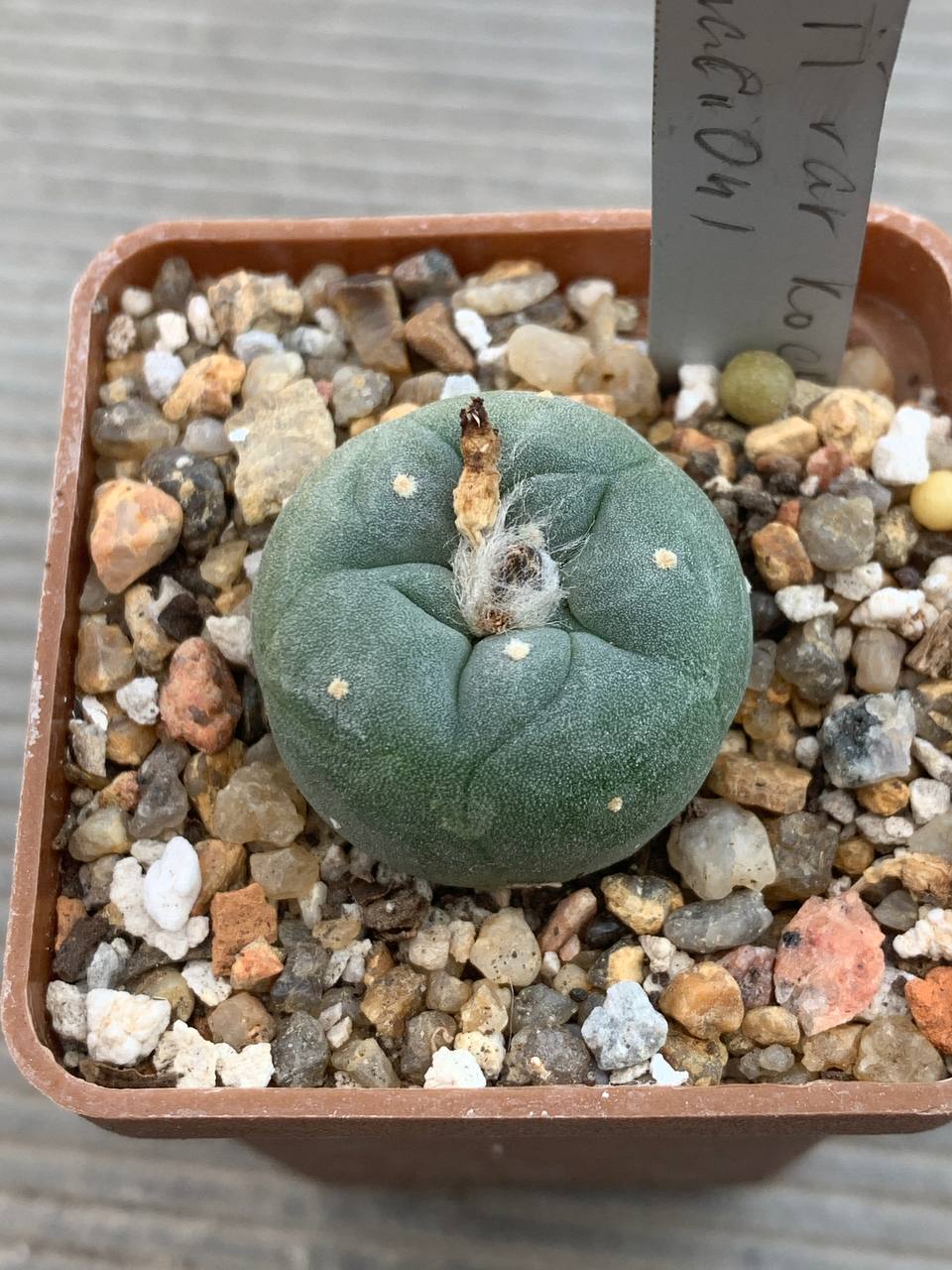 photo_62_2026-03-25_17-02-12 photo_62_2026-03-25_17-02-12