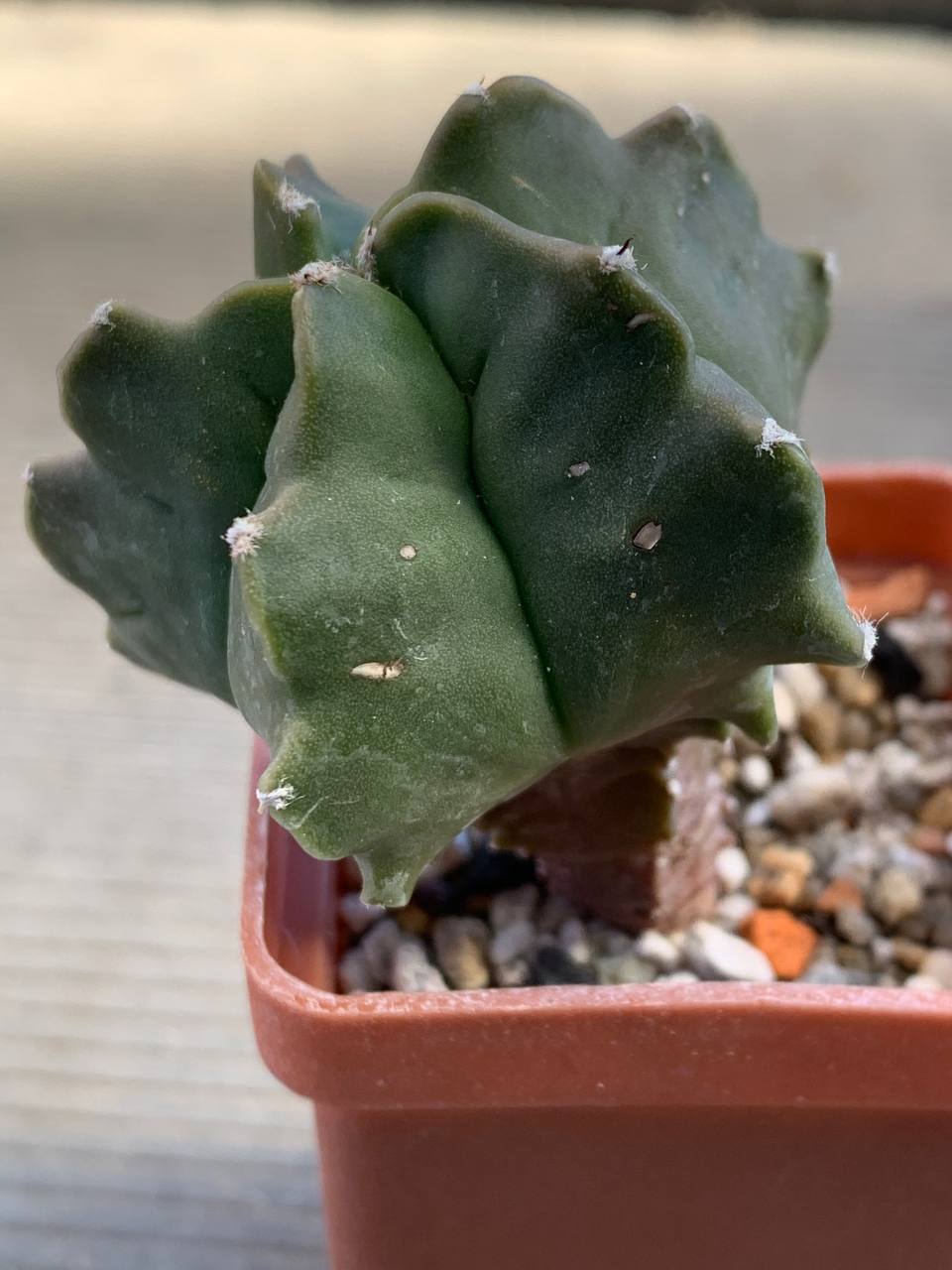 photo_68_2026-03-11_16-47-50