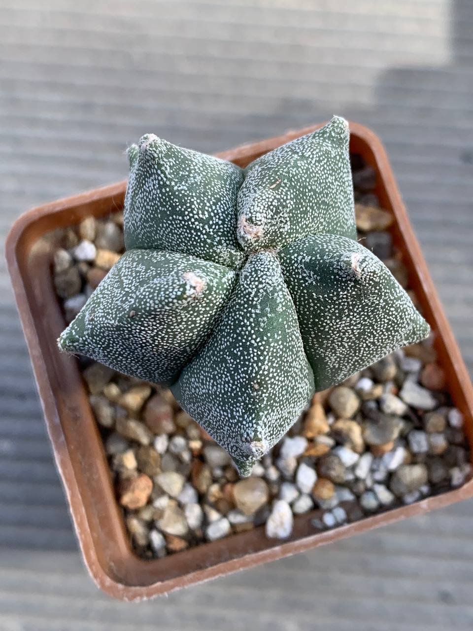 photo_6_2026-03-11_16-47-50