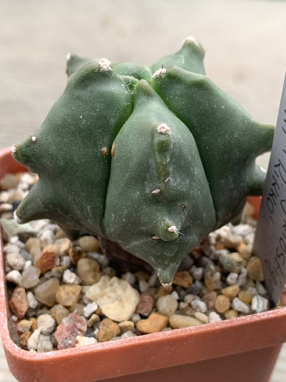 photo_6_2026-03-18_18-26-28