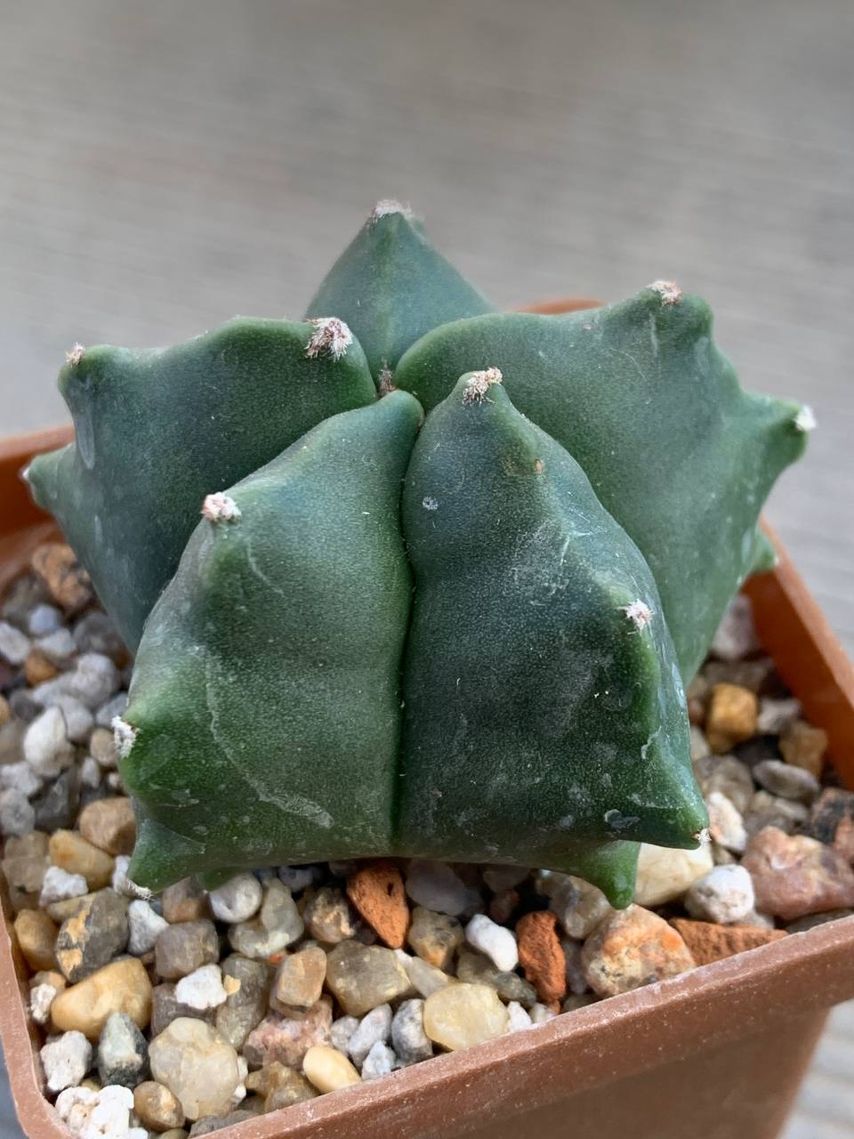 photo_75_2026-03-11_16-47-50