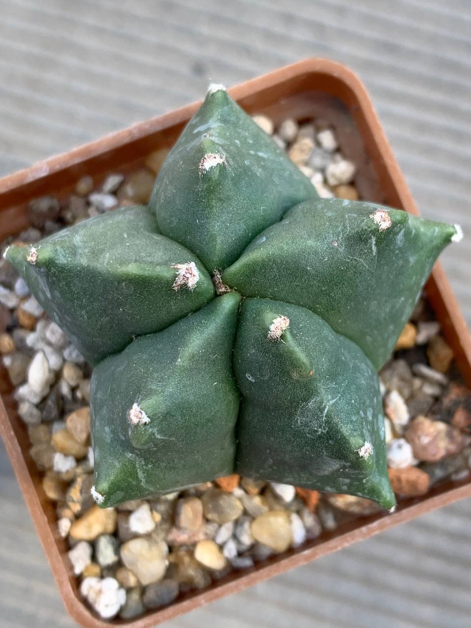 photo_76_2026-03-11_16-47-50