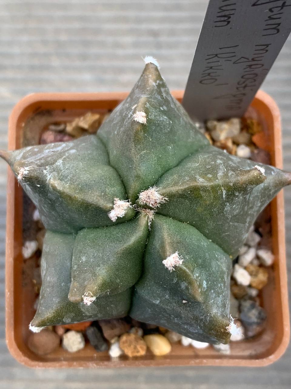 photo_79_2026-03-11_16-47-50