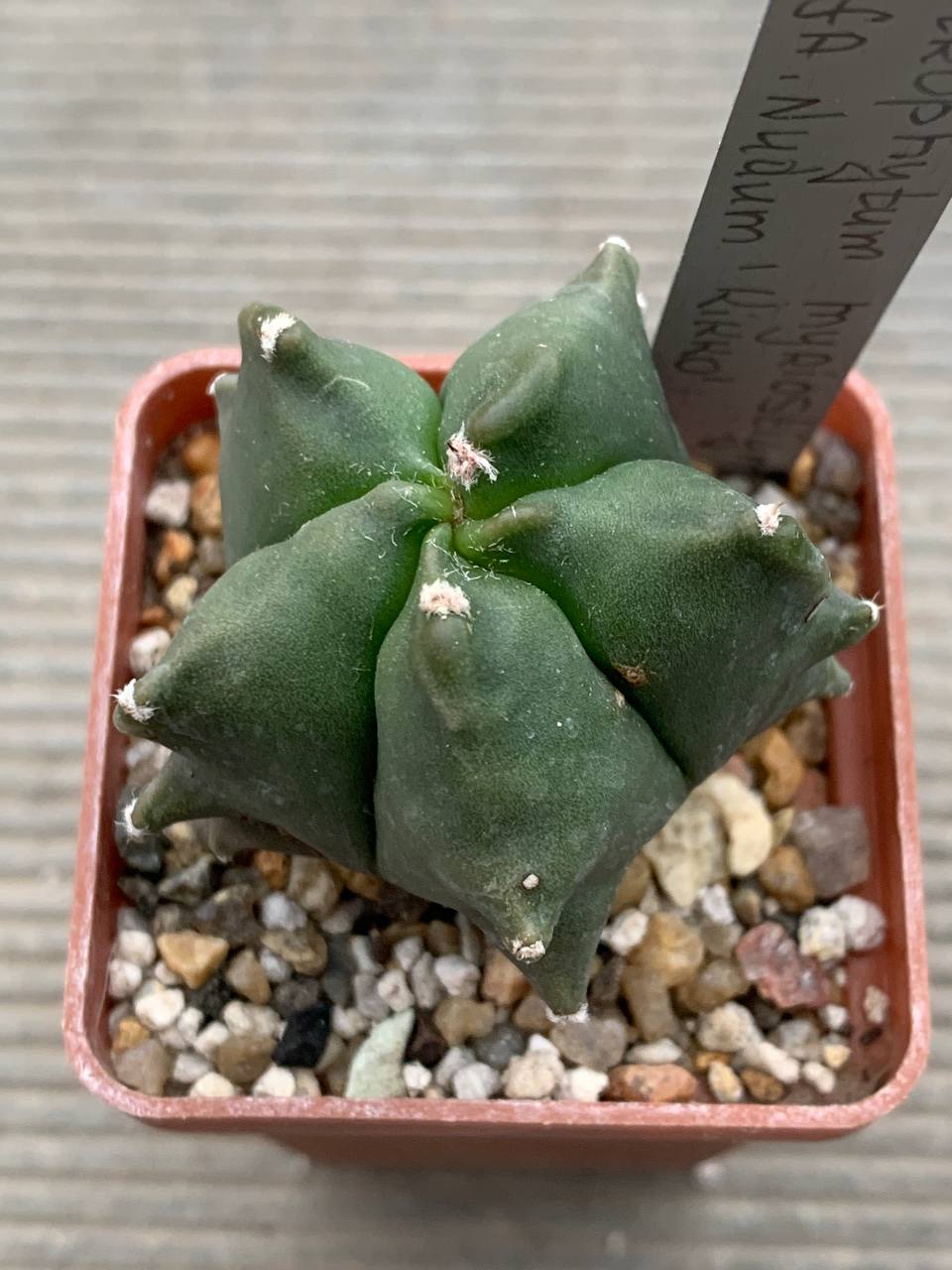 photo_7_2026-03-18_18-26-28