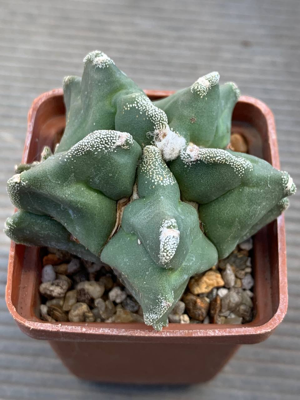 photo_85_2026-03-11_16-47-50