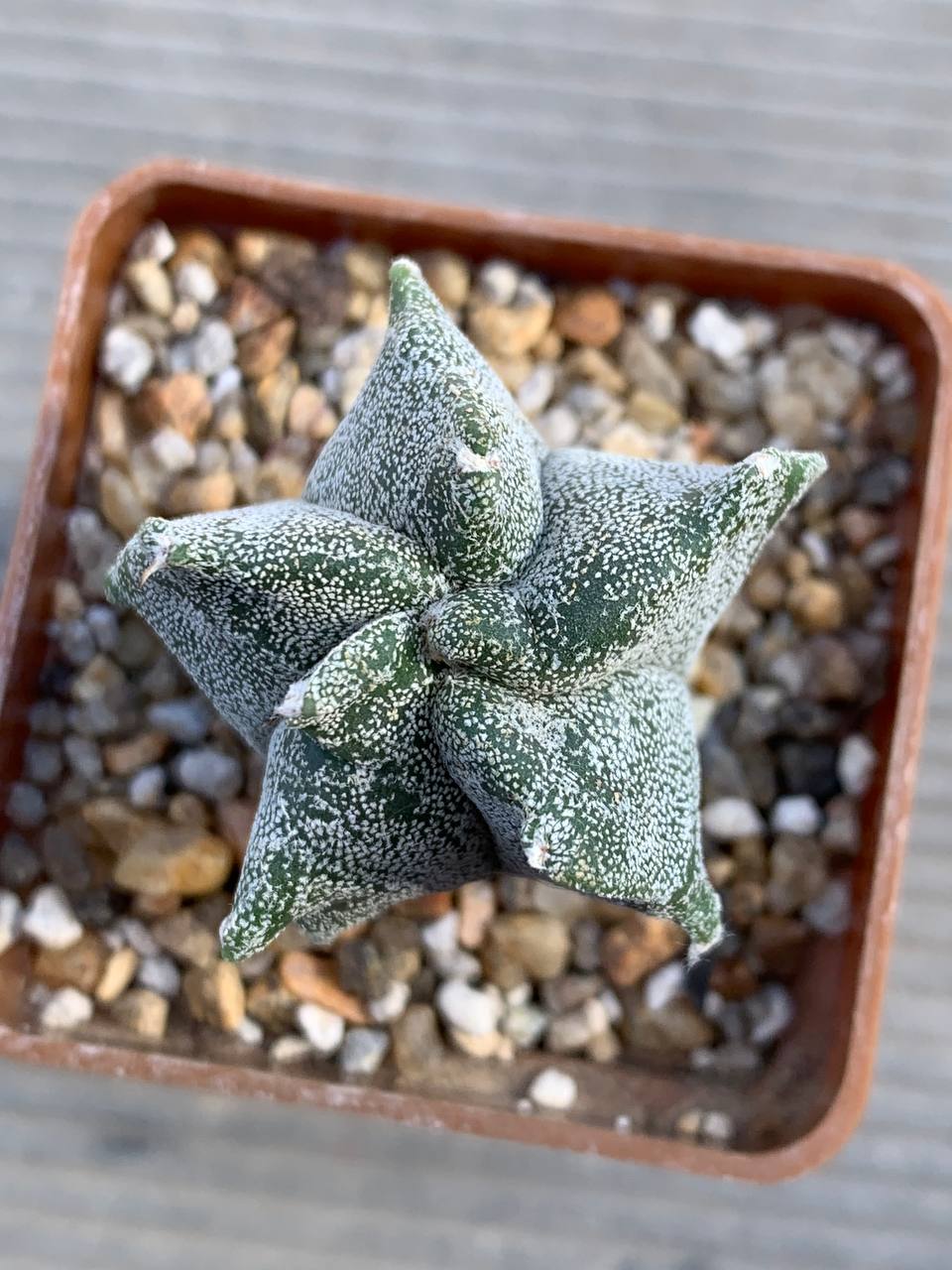 photo_9_2026-03-11_16-47-50