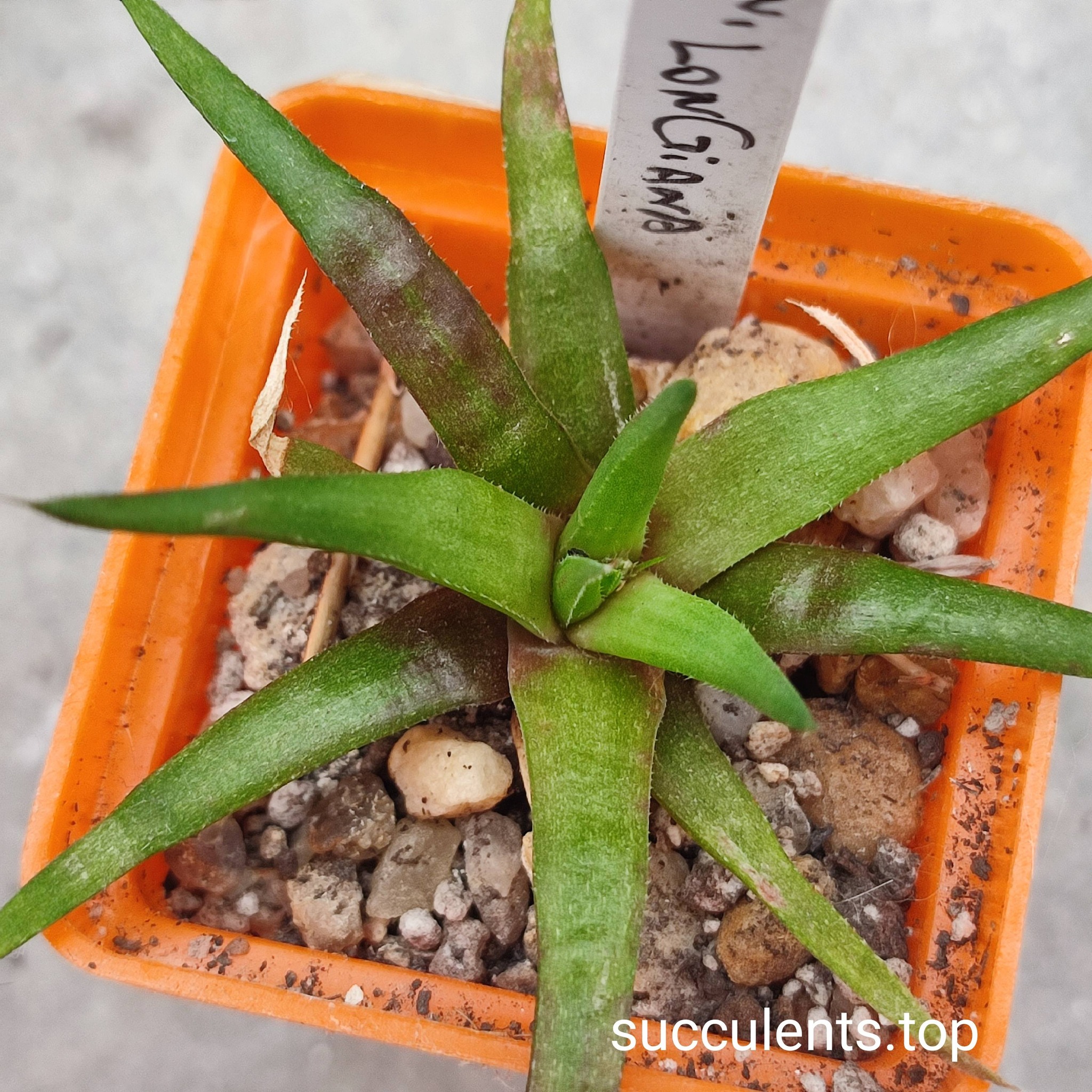 668975675_3516658641806005_4480364056880660023_n 668975675_3516658641806005_4480364056880660023_n