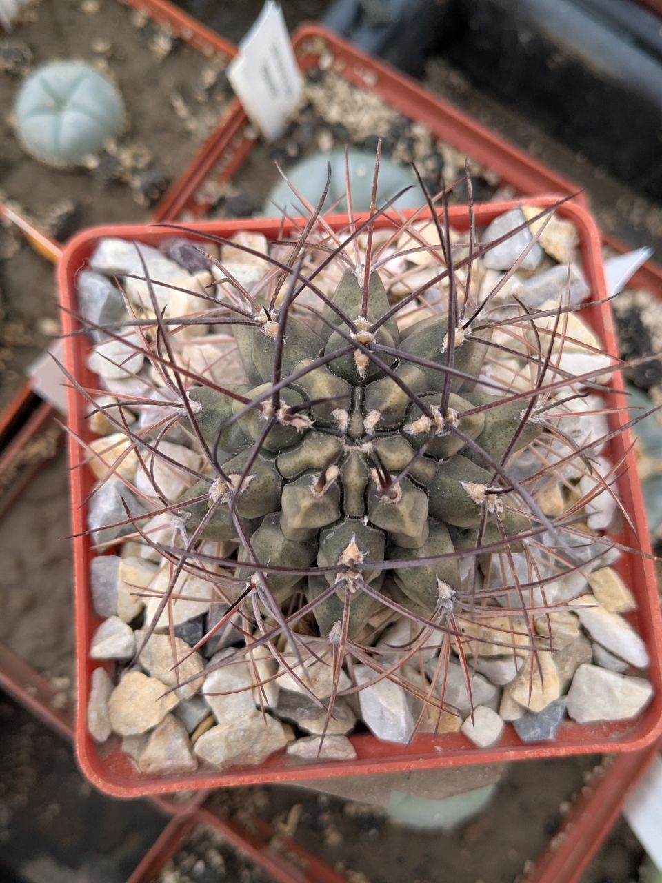 IMG_20260403_221750_829