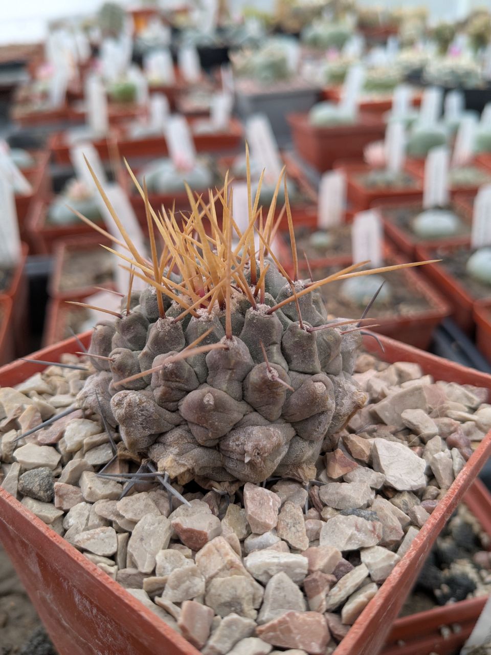 IMG_20260403_221751_206