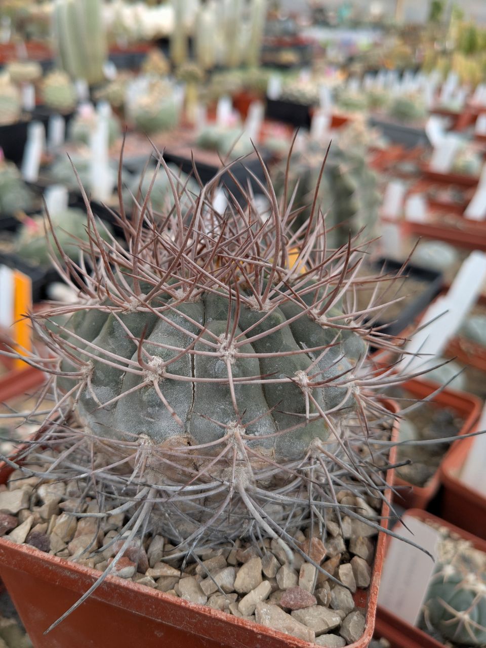 IMG_20260405_111435_144