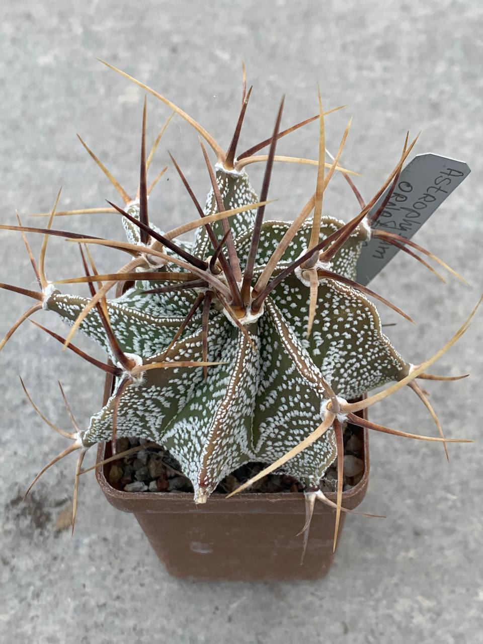 photo_10_2026-04-08_17-05-46 photo_10_2026-04-08_17-05-46