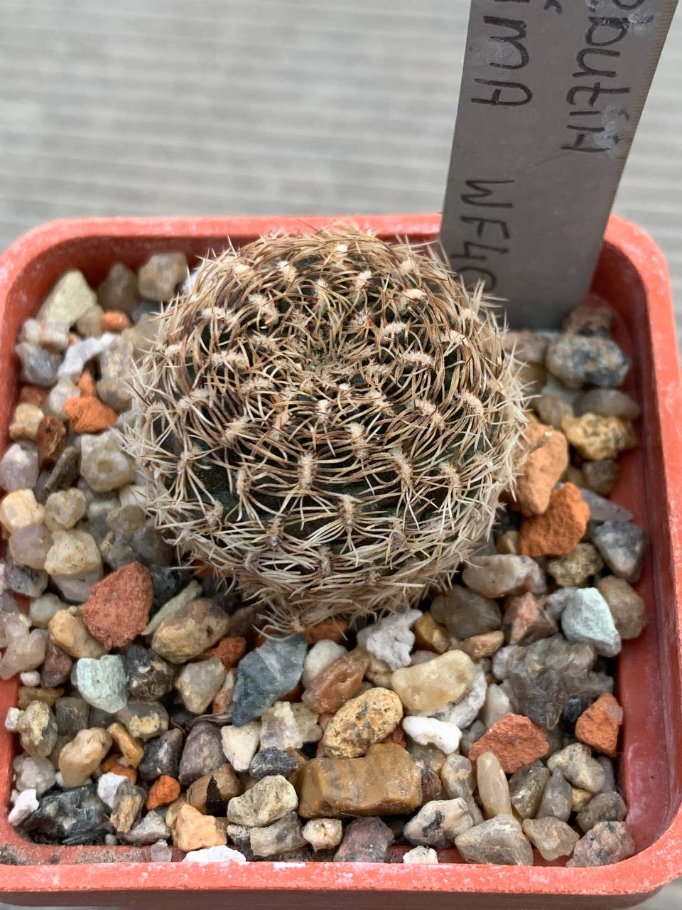 photo_10_2026-04-15_18-18-32 photo_10_2026-04-15_18-18-32