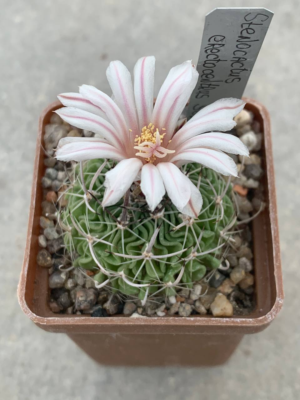 photo_14_2026-04-08_17-05-46 photo_14_2026-04-08_17-05-46