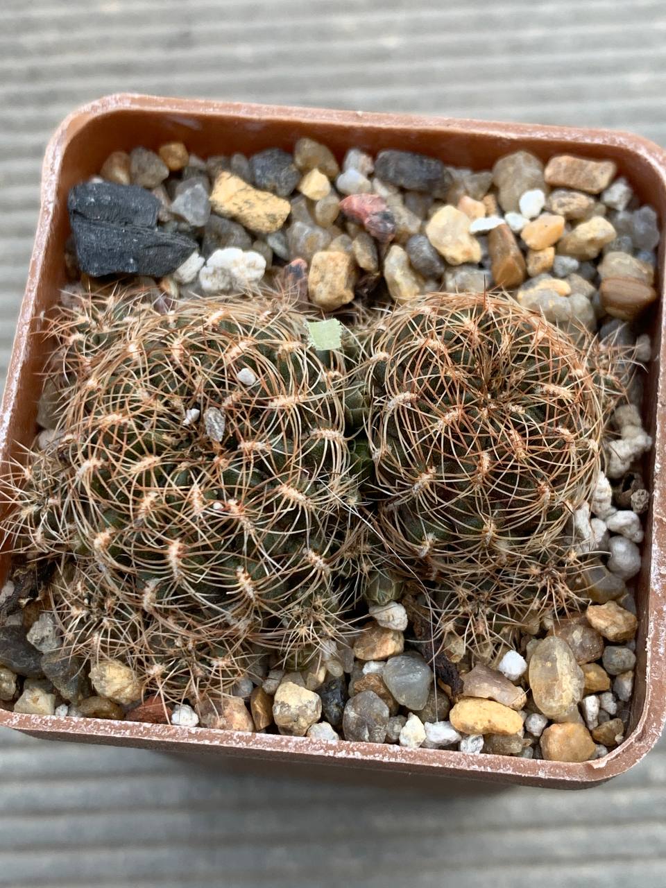 photo_14_2026-04-15_18-08-34 photo_14_2026-04-15_18-08-34