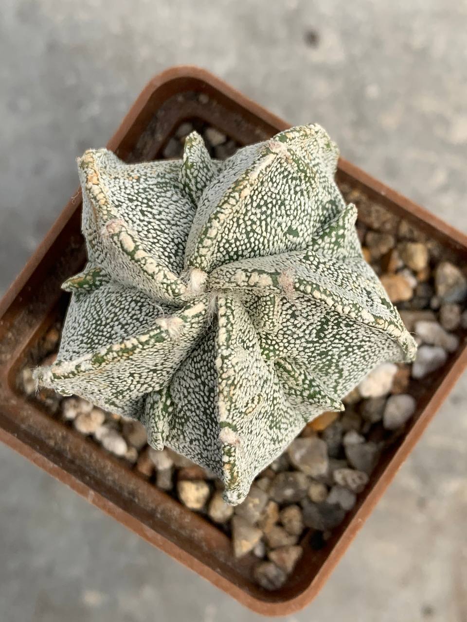 photo_15_2026-04-01_15-16-48 photo_15_2026-04-01_15-16-48