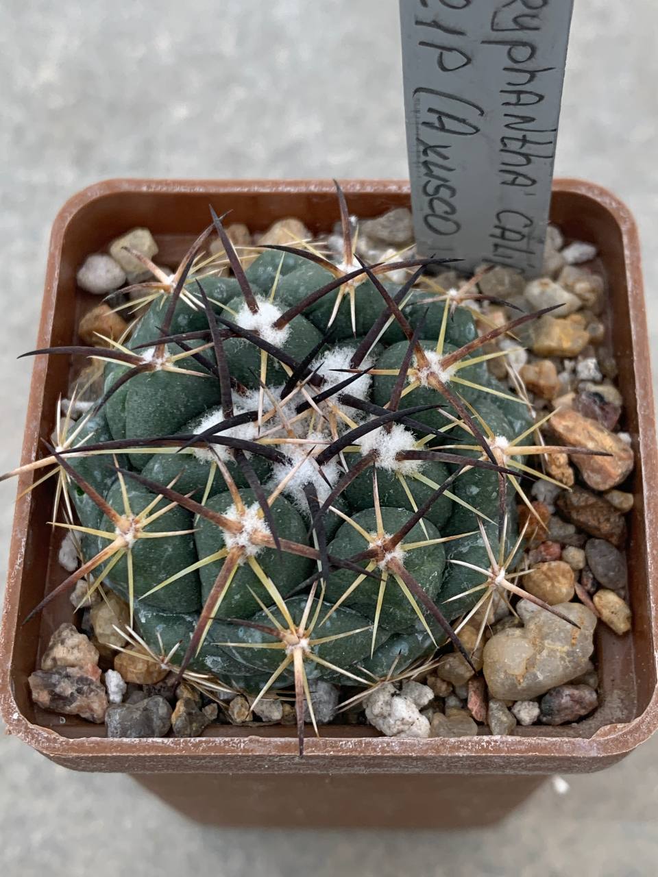 photo_15_2026-04-08_17-05-46 photo_15_2026-04-08_17-05-46